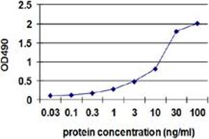 Sandwich ELISA detection sensitivity ranging from 0.