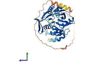 Protein Structure (PS) image for Ribosomal Modification Protein RimK-Like Family Member B (RIMKLB) (AA 1-387) protein (His tag) (ABIN7558396)