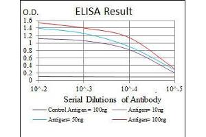 Black line: Control Antigen (100 ng), Purple line: Antigen(10 ng), Blue line: Antigen (50 ng), Red line: Antigen (100 ng), (Src 抗体)