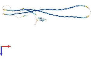 GOLGA1 Protein (AA 1-767) (His tag)