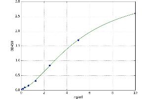 A typical standard curve (Angiopoietin 4 ELISA 试剂盒)