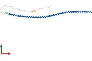 Protein Structure (PS) image for Synaptonemal Complex Protein 3 (SYCP3) (AA 1-236) protein (His tag) (ABIN7546488)
