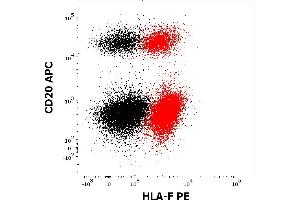 Flow cytometry multicolor intracellular staining pattern of human lymphocytes stained using anti-human CD20 (2H7) PE antibody (10 μL reagent / 100 μL of peripheral whole blood) and anti-HLA-F (3D11) PE antibody (concentration in sample 5 μg/mL, red) or mouse IgG1 isotype control (MOPC-21) PE antibody (concentration in sample 5 μg/mL, same as anti-HLA-F PE concentration, black). (HLA-F 抗体  (PE))