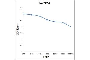 Antigen: 0. (IL7R 抗体  (pTyr449))