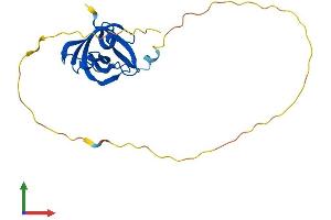 Protein Structure (PS) image for Single-Stranded DNA Binding Protein 1 (SSBP1) (AA 1-212) protein (His tag) (ABIN7559716)