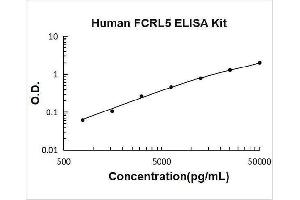 Typical Standard Curve