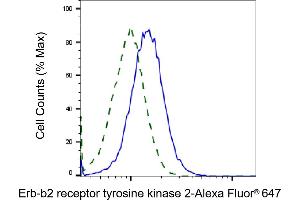 Validation of Erb-b2 receptor tyrosine kinase 2 knockdown using flow cytometry. (ErbB2/Her2 抗体)
