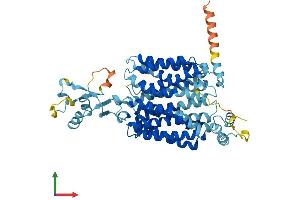 Protein Structure (PS) image for Organic Cation Transporter 3 (OCT3) (AA 1-551) protein (His tag) (ABIN7556251)
