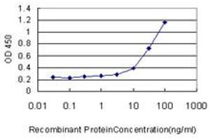 Detection limit for recombinant GST tagged ZNF394 is approximately 3ng/ml as a capture antibody. (ZNF394 抗体  (AA 1-561))