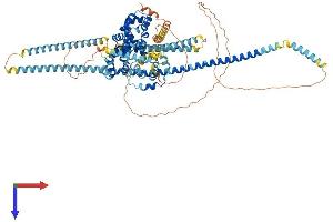 AlphaFold protein structure predicition of Mouse Recombinant Evi5 Protein, UniprotID P97366 (EVI5 Protein (AA 1-809) (His tag))
