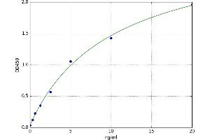 A typical standard curve (CENPA ELISA 试剂盒)