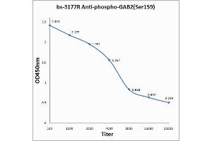 Antigen: 0. (GAB2 抗体  (pSer159))