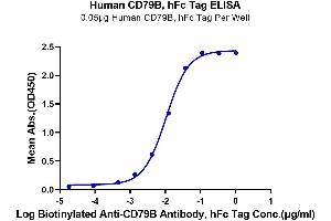 ELISA image for CD79b Molecule, Immunoglobulin-Associated beta (CD79B) (AA 29-159) protein (Fc Tag) (ABIN7274229)