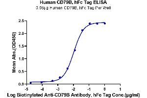 Immobilized Human CD79B, hFc Tag at 0. (CD79b Protein (AA 29-159) (Fc Tag))