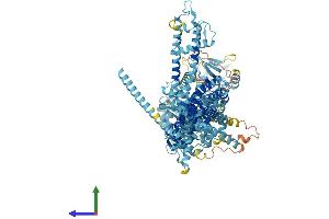 Protein Structure (PS) image for Transient Receptor Potential Cation Channel, Subfamily M, Member 8 (TRPM8) (AA 1-1104) protein (His tag) (ABIN7564710)