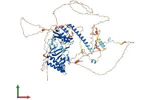 AlphaFold protein structure predicition of Mouse Recombinant Rnf10 Protein, UniprotID Q3UIW5 (RNF10 Protein (AA 1-804) (His tag))