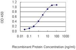 Detection limit for recombinant GST tagged PRSS12 is 0. (Neurotrypsin 抗体  (AA 541-640))