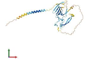 AlphaFold protein structure predicition of Human Recombinant TNMD Protein, UniprotID Q9H2S6 (TNMD Protein (AA 1-317) (His tag))