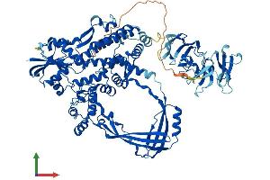 Protein Structure (PS) image for Topoisomerase (DNA) III beta (TOP3B) (AA 1-862) protein (His tag) (ABIN7555794)