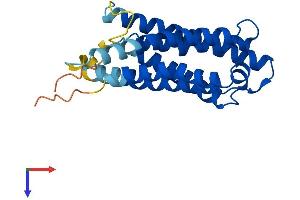 Cytochrome B-561 Domain Containing 1 (CYB561D1) (AA 1-229) protein (His tag)