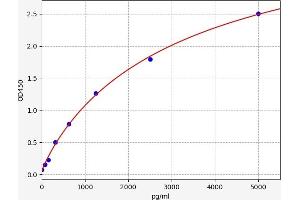 Typical standard curve (PVRL2 ELISA 试剂盒)