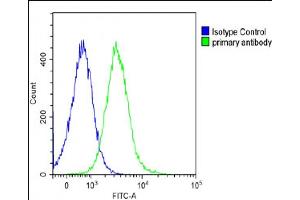 Flow Cytometry (FACS) image for anti-Prostaglandin E Receptor 3 (Subtype EP3) (PTGER3) (AA 17-46), (N-Term) antibody (ABIN653076)