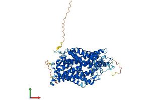 Protein Structure (PS) image for Solute Carrier Family 6 (Neurotransmitter Transporter, GABA), Member 13 (SLC6A13) (AA 1-602) protein (His tag) (ABIN7545954)