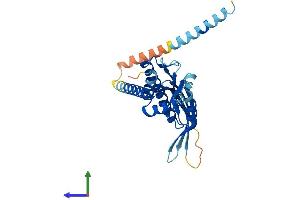 Protein Structure (PS) image for Centromere Protein P (CENPP) (AA 1-286) protein (His tag) (ABIN7560777)