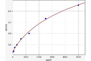 TCF7L2 ELISA 试剂盒