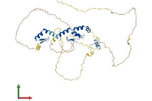 AlphaFold protein structure predicition of Human Recombinant ZNF385D Protein, UniprotID Q9H6B1