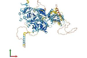 Protein Structure (PS) image for Ephrin A1 (EFNA1) (AA 1-1127) protein (His tag) (ABIN7564484)