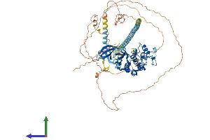 AlphaFold protein structure predicition of Human Recombinant CDK11A Protein, UniprotID Q9UQ88