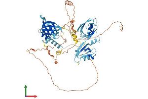 AlphaFold protein structure predicition of Human Recombinant APBA3 Protein, UniprotID O96018