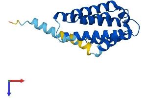 Protein Structure (PS) image for Tumor Necrosis Factor, alpha-Induced Protein 8-Like 1 (TNFAIP8L1) (AA 1-186) protein (His tag) (ABIN7544729)