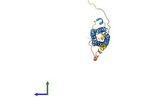 AlphaFold protein structure predicition of Mouse Recombinant Syngr3 Protein, UniprotID Q8R191