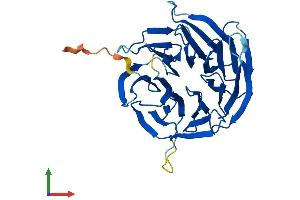 Protein Structure (PS) image for G protein beta subunit-like (GBL) (AA 1-326) protein (His tag) (ABIN7554443)