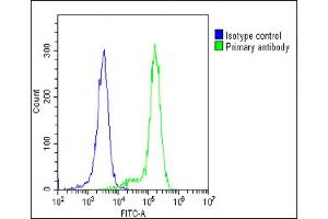 Overlay histogram showing K562 cells stained with C(green line). (IFNAR1 抗体  (AA 162-188))