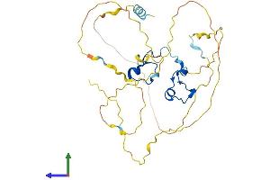 Protein Structure (PS) image for Zinc Finger Protein 36, C3H Type, Homolog (Mouse) (ZFP36) (AA 1-326) protein (His tag) (ABIN7544764)