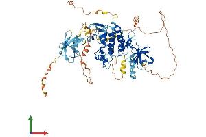 AlphaFold protein structure predicition of Mouse Recombinant Araf Protein, UniprotID P04627