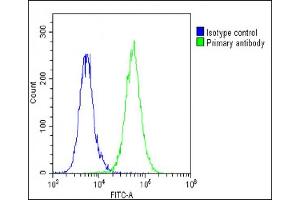 Overlay histogram showing A549 cells stained with (ABIN6242219 and ABIN6578795)(green line). (Thrombomodulin 抗体  (AA 537-571))