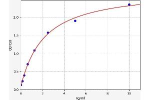 Typical standard curve (SLC16A7 ELISA 试剂盒)