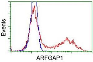 HEK293T cells transfected with either RC206987 overexpress plasmid (Red) or empty vector control plasmid (Blue) were immunostained by anti-ARFGAP1 antibody (ABIN2454382), and then analyzed by flow cytometry. (ARFGAP1 抗体)