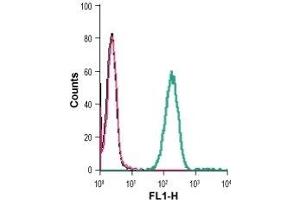Indirect flow cytometry of live intact human THP-1 monocytic leukemia cells: (black line) Cells. (Sortilin 1 抗体  (Extracellular Domain))