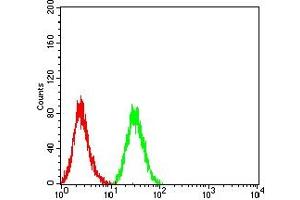 Flow cytometric analysis of HL-60 cells using CD72 mouse mAb (green) and negative control (red). (CD72 抗体  (AA 117-359))