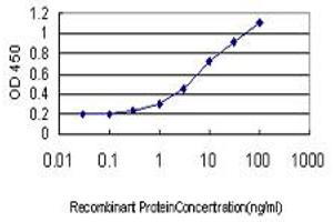 Detection limit for recombinant GST tagged RBM9 is approximately 0. (RBM9 抗体  (AA 1-100))