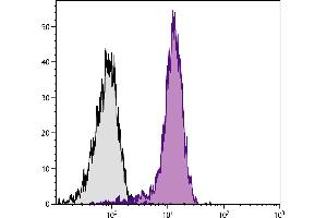 BALB/c mouse splenocytes were stained with Rat Anti-Mouse CD31-APC. (CD31 抗体  (APC))