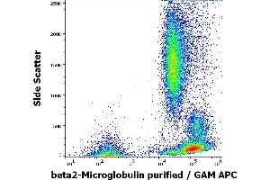 Flow cytometry surface staining pattern of human peripheral blood stained using anti-human beta2-Microglobulin (B2M-01) purified antibody (concentration in sample 0. (beta-2 Microglobulin 抗体)