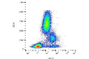 Flow cytometry analysis (surface staining) of CD39 in human peripheral blood with anti-CD39 (TU66) PE. (CD39 抗体  (PE))