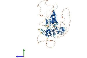 Protein Structure (PS) image for Histocompatibility (Minor) HA-1 (HMHA1) (AA 1-1116) protein (His tag) (ABIN7563660)