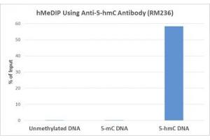 hMeDIP was performed using recombinant 5hmC antibody at a 10:1 DNA:Ab ratio. (Recombinant 5-Hydroxymethylcytosine 抗体)